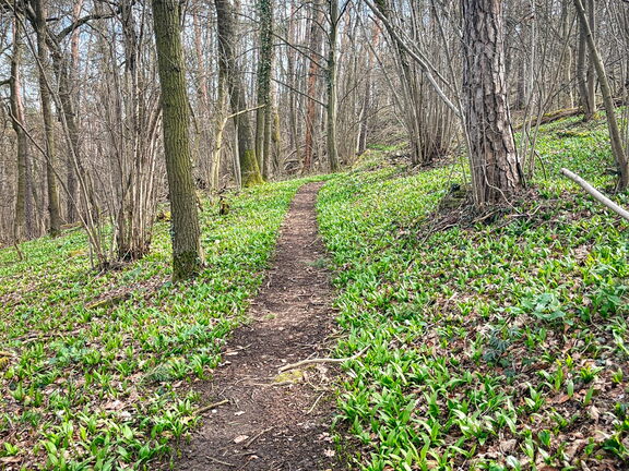 23-03-17 11-32-03 4891